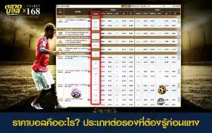 ตารางราคาบอลพร้อมตัวอย่างการต่อรอง แสดงให้ผู้เล่นเข้าใจประเภทต่างๆ ก่อนเริ่มแทงบอล